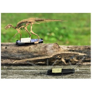 3D恐竜ペーパーパズル【カムイサウルス・ジャポニクス(むかわ竜)】【ホベツアラキリュウ】2点セット【1323387】