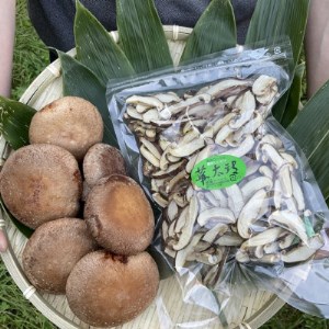 北海道むかわ町産 乾燥スライスしいたけ おためし1袋100g(100g×1袋)【1332530】