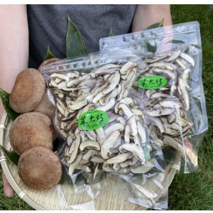 北海道むかわ町産 乾燥スライスしいたけ 100g×2袋セット(合計200g)【1332532】