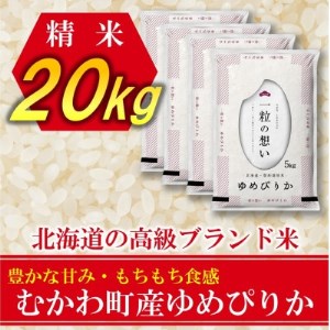 2022年12月発送開始『定期便』北海道のブランド米!北海道むかわ町産ゆめぴりか精米20kg全6回【5103086】
