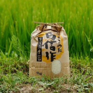 北海道むかわ町産 きたくりん(精米)5kg×1袋【1355027】