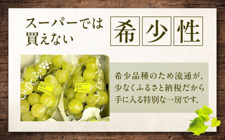 【先行予約】瀬戸ジャイアンツ 約2kg1箱（4房から6房）＜2026年8月下旬から発送＞/ 瀬戸ジャイアンツ ぶどう ブドウ 葡萄 マスカット ますかっと 愛媛県 愛媛 内子町 フルーツ 果物 送料無料 美味しい おすすめ 人気 皮ごと 特産品 四国 国産 【有限会社ふじブドウ園】 [BKCW001]