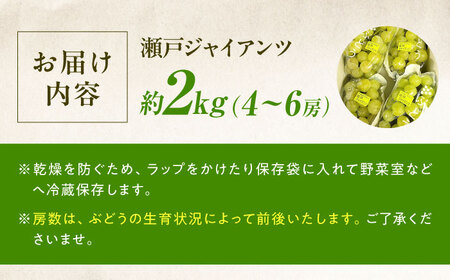 【先行予約】瀬戸ジャイアンツ 約2kg1箱（4房から6房）＜2026年8月下旬から発送＞/ 瀬戸ジャイアンツ ぶどう ブドウ 葡萄 マスカット ますかっと 愛媛県 愛媛 内子町 フルーツ 果物 送料無料 美味しい おすすめ 人気 皮ごと 特産品 四国 国産 【有限会社ふじブドウ園】 [BKCW001]