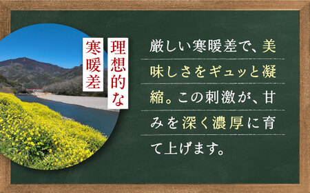 【先行予約】季節のイチゴ詰め合わせ 400g×2パック ＜2026年4月下旬以降発送＞ ／ いちご イチゴ 苺 果物 フルーツ 国産 産地直送 農家直送【周年観光農園エコファームうちこ】 [BKBW002]