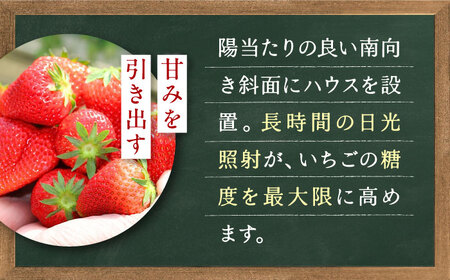 【先行予約】季節のイチゴ詰め合わせ 400g×2パック ＜2026年4月下旬以降発送＞ ／ いちご イチゴ 苺 果物 フルーツ 国産 産地直送 農家直送【周年観光農園エコファームうちこ】 [BKBW002]