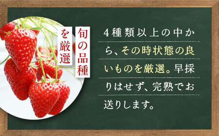 【先行予約】季節のイチゴ詰め合わせ 400g×2パック ＜2026年4月下旬以降発送＞ ／ いちご イチゴ 苺 果物 フルーツ 国産 産地直送 農家直送【周年観光農園エコファームうちこ】 [BKBW002]