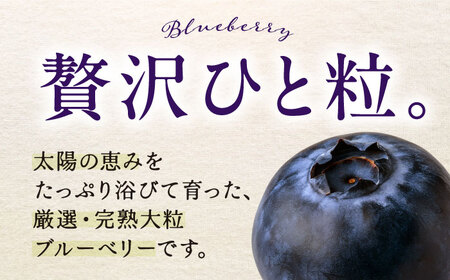 手摘み ブルーベリー 詰め合わせ 450g×4パック ＜2026年7月下旬より発送＞ ／ ブルーベリー 果物 フルーツ ベリー 国産 産地直送 農家直送【周年観光農園エコファームうちこ】 [BKBW001]