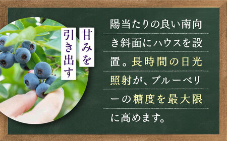 手摘み ブルーベリー 詰め合わせ 450g×4パック ＜2026年7月下旬より発送＞ ／ ブルーベリー 果物 フルーツ ベリー 国産 産地直送 農家直送【周年観光農園エコファームうちこ】 [BKBW001]