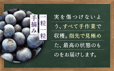 手摘み ブルーベリー 詰め合わせ 450g×4パック ＜2026年7月下旬より発送＞ ／ ブルーベリー 果物 フルーツ ベリー 国産 産地直送 農家直送【周年観光農園エコファームうちこ】 [BKBW001]