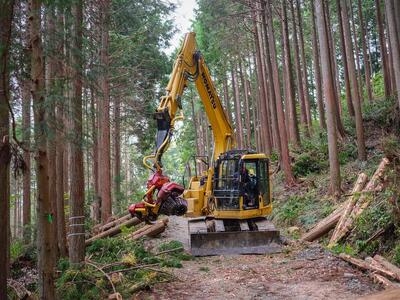 ヒノキ由来の消臭ミスト ANTOKINOHINOKI 150ml×1本