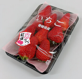 内子町産　いちご「紅ほっぺ」　2パック