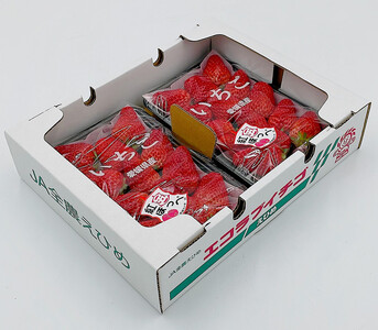 内子町産 いちご「紅ほっぺ」 4パック