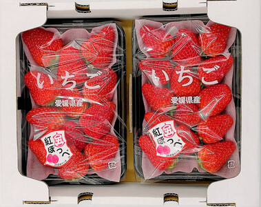 内子町産 いちご「紅ほっぺ」 4パック