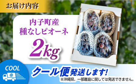種無しピオーネ2kg／ぶどう 種なし フルーツ くだもの 内子町【フルーツファームやまおか】 [BKCO001]
