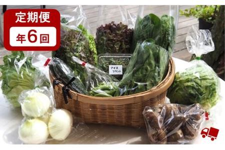 道の駅からり直送！【6ヶ月定期便】季節の野菜の詰合せ【北海道・東北・沖縄配送不可】