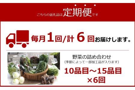 道の駅からり直送！【6ヶ月定期便】季節の野菜の詰合せ【北海道・東北・沖縄配送不可】