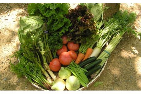 道の駅からり直送！【6ヶ月定期便】季節の野菜の詰合せ【北海道・東北・沖縄配送不可】