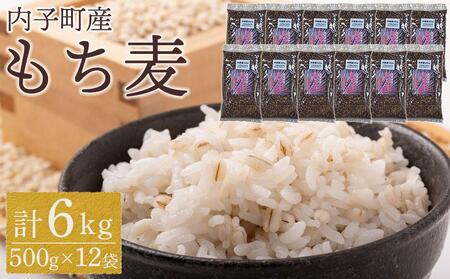 内子町産 もち麦（6kg）【穀物 穀類 食品 人気 おすすめ 送料無料】もち麦 穀物 すみれもち もち麦 穀物 すみれもち もち麦 穀物 すみれもち もち麦 穀物 すみれもち もち麦 穀物 すみれもち もち麦 穀物 すみれもち もち麦 穀物 すみれもち もち麦 穀物 すみれもち もち麦 穀物 すみれもち もち麦 穀物 すみれもち もち麦 穀物 すみれもち もち麦 穀物 すみれもち もち麦 穀物 すみれもち もち麦 穀物 すみれもち もち麦 穀物 すみれもち もち麦 穀物 すみれもち もち麦 穀物 すみれもち もち麦 穀物 すみれもち もち麦 穀物 すみれもち もち麦 穀物 すみれもち もち麦 穀物 すみれもち もち麦 穀物 すみれもち もち麦 穀物 すみれもち もち麦 穀物 すみれもち もち麦 穀物 すみれもち もち麦 穀物 すみれもち もち麦 穀物 すみれもち もち麦 穀物 すみれもち もち麦 穀物 すみれもち もち麦 穀物 すみれもち 