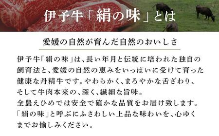 伊予牛「絹の味」黒毛和牛 小間切れ 400ｇ