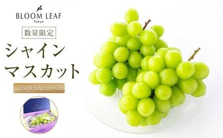 BLOOM LEAF シャインマスカット2房 ＜2024年9月中旬発送開始＞【食品 加工食品 人気 おすすめ 送料無料】