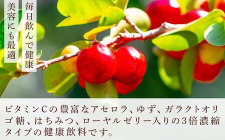 創業明治26年 老舗「内子・森文」おいしい酢卵木箱セット（360ml×3本）