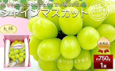 【先行予約】内子町産シャインマスカット 赤秀 1房入 750g以上 ★2024年8月下旬から発送★【シャインマスカット 大人気 愛媛県 シャインマスカット 美味しいシャインマスカット 人気 シャインマスカット 皮ごとシャインマスカット シャインマスカット 美味しいシャインマスカット 葡萄 シャインマスカット ブドウ 愛媛県産 新鮮 シャインマスカット 内子 シャインマスカット 旬 フルーツ シャインマスカット フルーツ 果物 くだもの 食品 人気 おすすめ 送料無料】