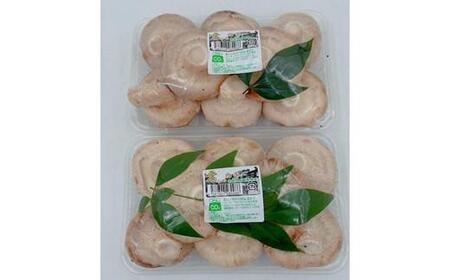 内子町産 生しいたけ(菌床栽培)約240g×2パック