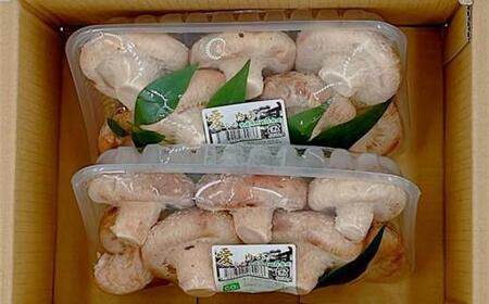 内子町産 生しいたけ(菌床栽培)約240g×2パック