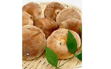 内子町産 生しいたけ(菌床栽培)約240g×2パック