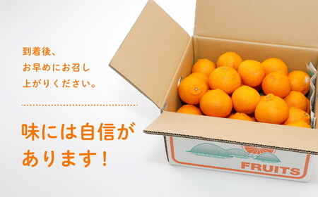 【先行受付】【※超訳あり】不知火（しらぬい） 5kg ◇ | みかん 柑橘 ミカン 蜜柑 mikan 果物 フルーツ 糖度 甘い でこぽん デコポンと同品種 愛媛県 伊方町 Misaki Base ※2025年2月中旬～3月中旬頃に順次発送予定 ※離島への配送不可