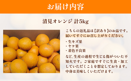 【先行予約】訳あり 清見オレンジ計5kg ※離島への配送不可（2026年3月上旬頃より順次発送予定） IKTAC008