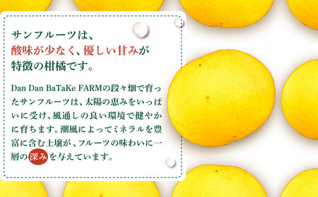 【訳あり】サンフルーツ 約10kg ※離島への配送不可 IKTAU012