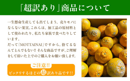 【先行受付】【※超訳あり】不知火(しらぬい) 10kg ※離島への配送不可 (2026年2月中旬より順次発送) IKTAB006