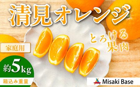 【先行受付】【家庭用】清見オレンジ 5kg ※離島への配送不可 （2026年3月中旬より順次発送）IKTAB007 