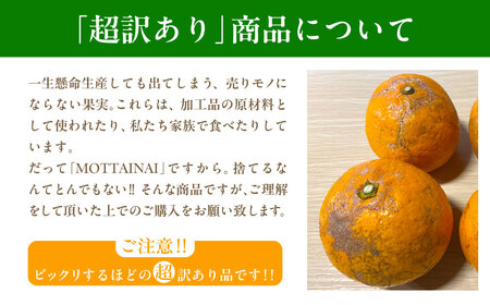 【先行受付】【※超訳あり】清見オレンジ 10kg ※離島への配送不可（2026年3月中旬より順次発送） IKTAB010 