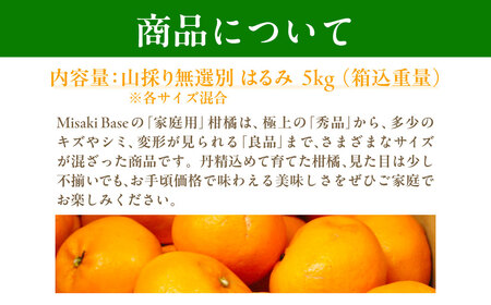 【先行受付】【数量限定】【山採り無選別】はるみ 5kg ※離島への配送不可（2026年2月より順次発送） IKTAB011 