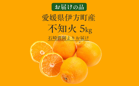 【先行予約】【数量限定】不知火5kg(石崎農園)※離島への配送不可 (2026年2月10日より順次発送予定) IKTAG002