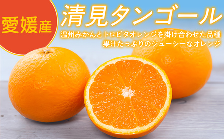 Premium清見ジュース（2本セット）※北海道・沖縄・離島への配送不可 【ふるさと納税 人気 おすすめ ランキング 柑橘 みかん ミカン フルーツ ジュース みかんジュース ミカンジュース オレンジジュース 清見 果物 OKUBO FARM 愛媛県 伊方町 送料無料】 IKTAT001 