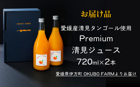 Premium清見ジュース（2本セット）※北海道・沖縄・離島への配送不可 【ふるさと納税 人気 おすすめ ランキング 柑橘 みかん ミカン フルーツ ジュース みかんジュース ミカンジュース オレンジジュース 清見 果物 OKUBO FARM 愛媛県 伊方町 送料無料】 IKTAT001 