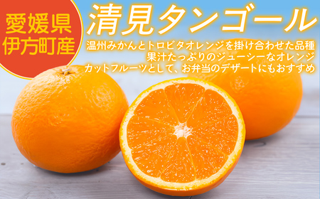 【先行予約】【家庭用】清見タンゴール 3kg ※北海道・沖縄・離島への配送不可（2026年3月中旬より順次発送） IKTAT005 | 清見タンゴール