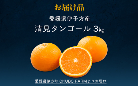 【先行予約】【家庭用】清見タンゴール 3kg ※北海道・沖縄・離島への配送不可（2026年3月中旬より順次発送） IKTAT005 | 清見タンゴール
