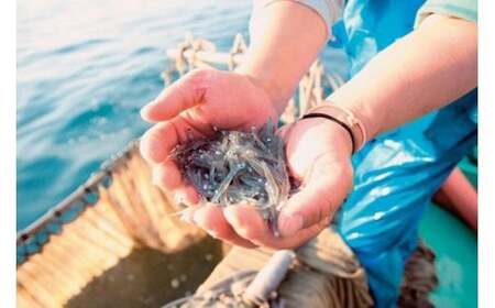 訳ありしらす 1kg IKTB016