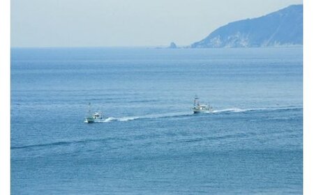 【日本初のすごいしらす】蒸ししらす食堂セット◇ IKTB027