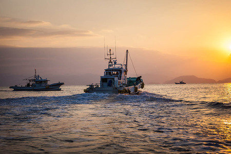 【ご飯のお供に最適】ちりめん佃煮6点セット ※離島への配送不可 IKTB029 