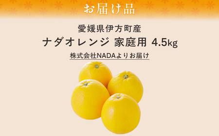 【農家直送】愛媛県産 ナダオレンジ 家庭用 4.5kg（2026年5月中旬より順次発送予定） IKTC006 