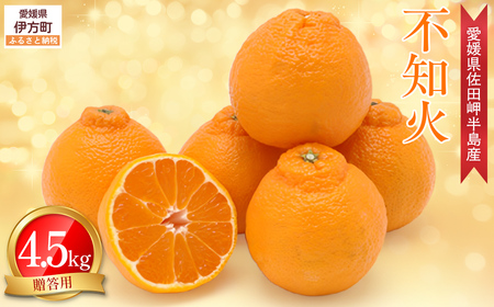【先行予約】【農家直送】愛媛県産 不知火 贈答用 4.5kg （2026年2月下旬～3月下旬頃発送予定） IKTC008 