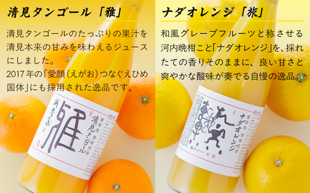 愛媛県産 果汁100％みかんジュース2本入りセット（清見・ナダオレンジ） IKTC011 