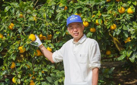 愛媛県産 果汁100％みかんジュース2本入りセット（清見・ナダオレンジ） IKTC011 