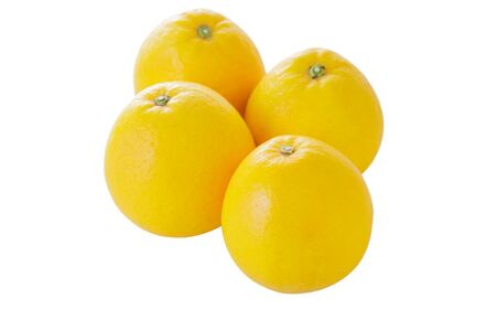 ナダオレンジ(河内晩柑)家庭用9kg（2026年5月中旬より順次発送） IKTC019 