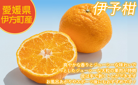 【先行予約】【家庭用】伊予柑 3kg ※北海道・沖縄・離島への配送不可 （2026年1月中旬より順次発送予定） 【 柑橘 みかん ミカン 伊予甘 フルーツ 果物 】 IKTAT004 